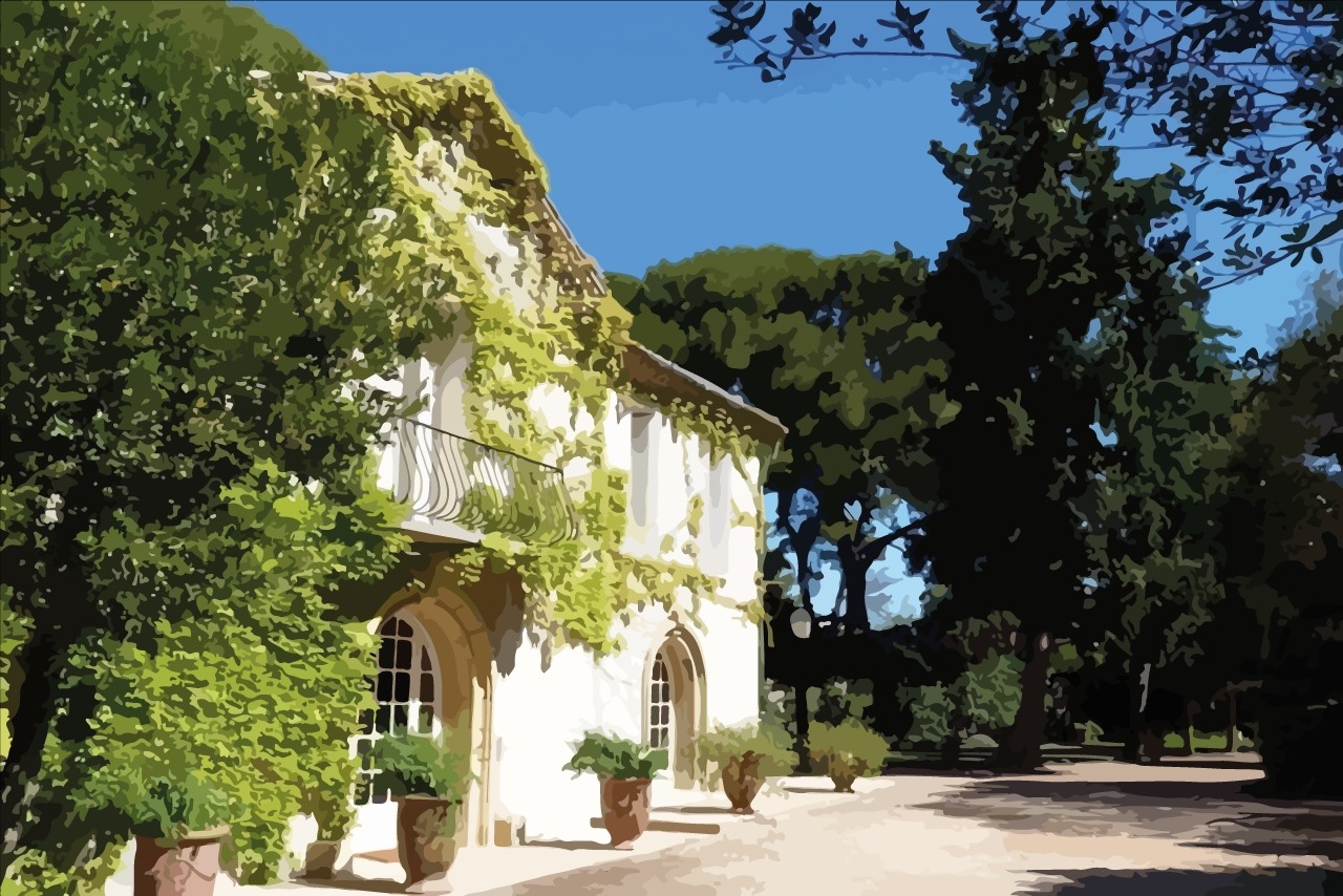 Stone sheepfold façade among the vines